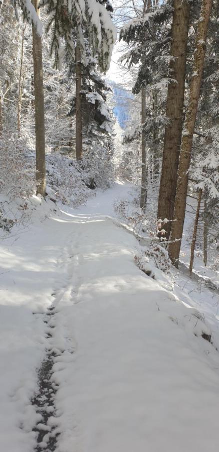 Apartment Sonnenbuechel Wald am Arlberg Eksteriør billede